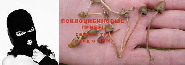 ешки Заводоуковск