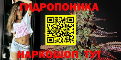 кокс Анапа