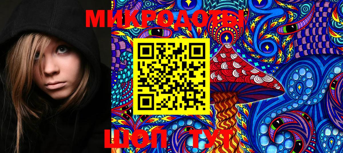 Галлюциногенные грибы Psilocybine cubensis  Вход с VPN  Реж  Псилоцибиновые грибы мицелий 