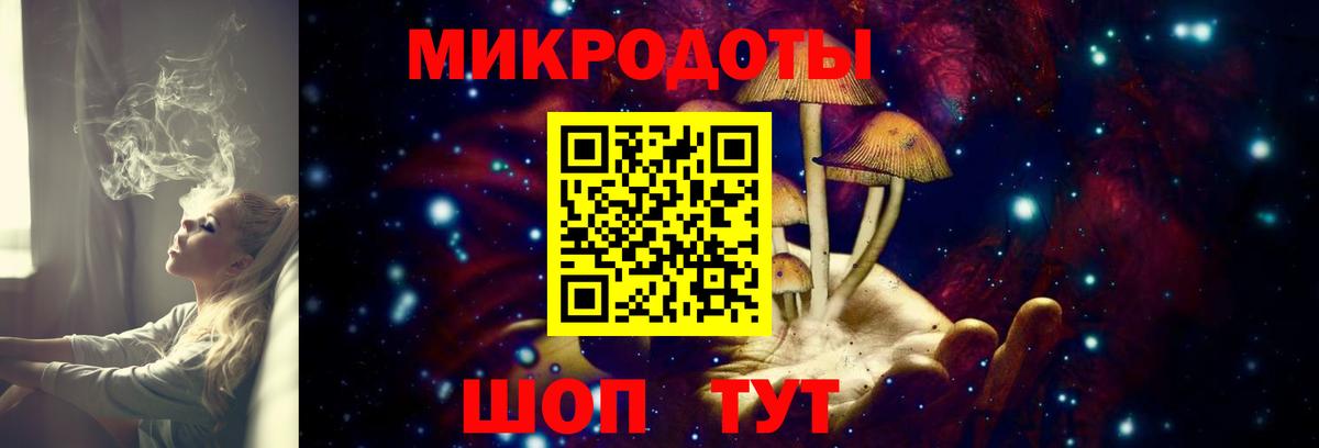 Псилоцибиновые грибы Cubensis Реж